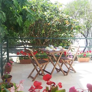 A casa di Nonna Rosa